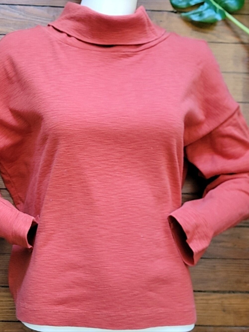 Banana Republic Turtleneck